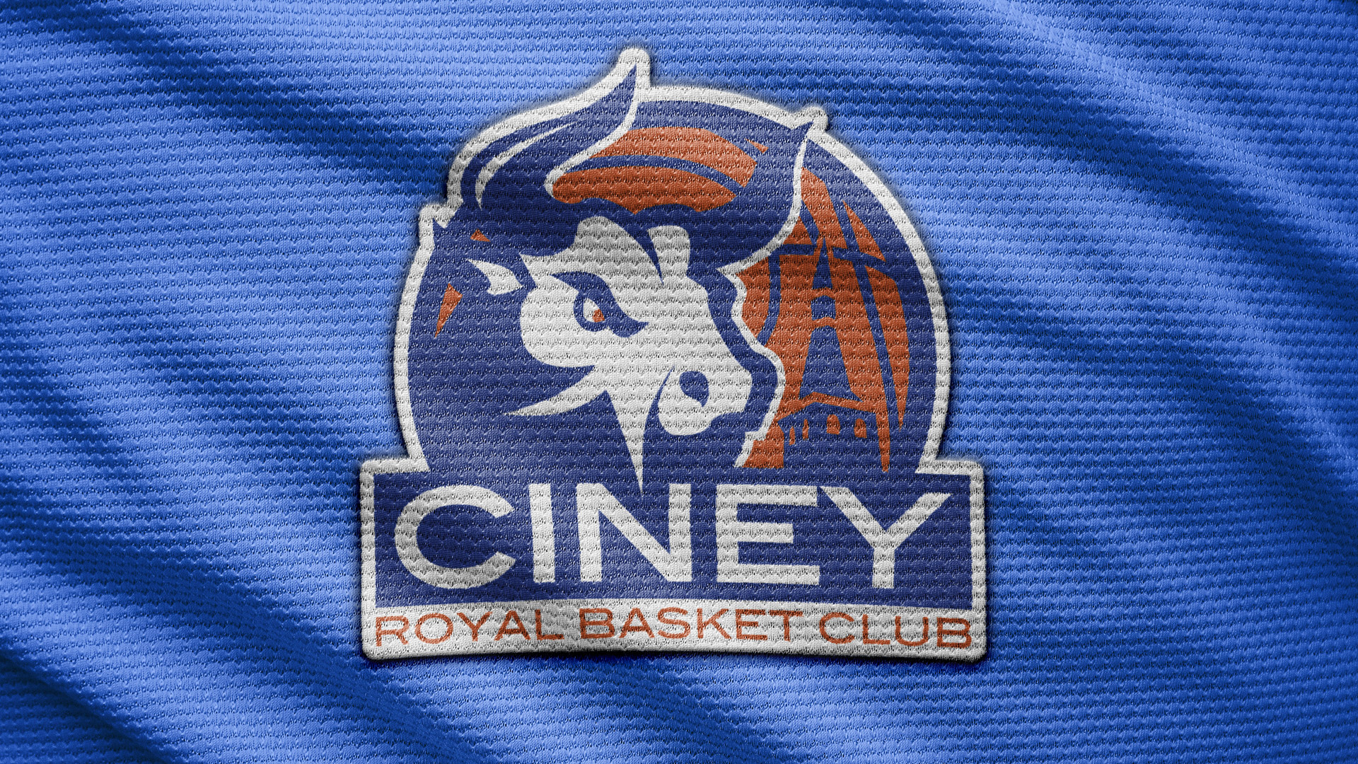 ciney_basket_logo